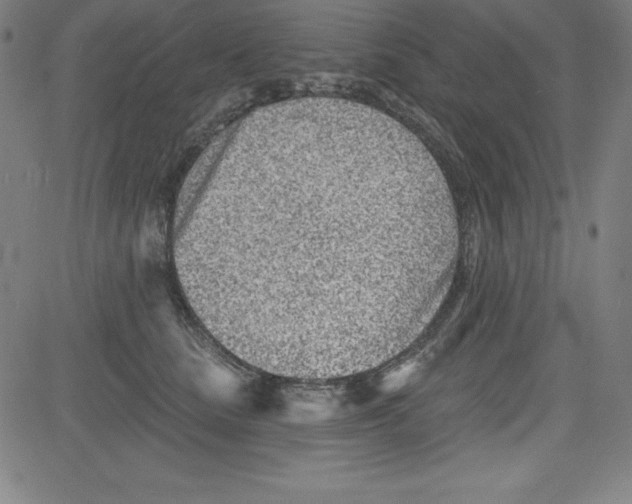 X0000081480661200702021859