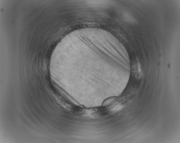 X0000081480662200702021859