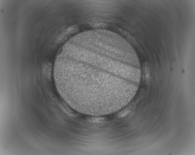 X0000081480664200702021859