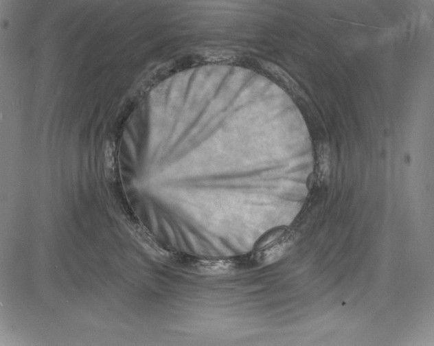 X0000081480667200702021859