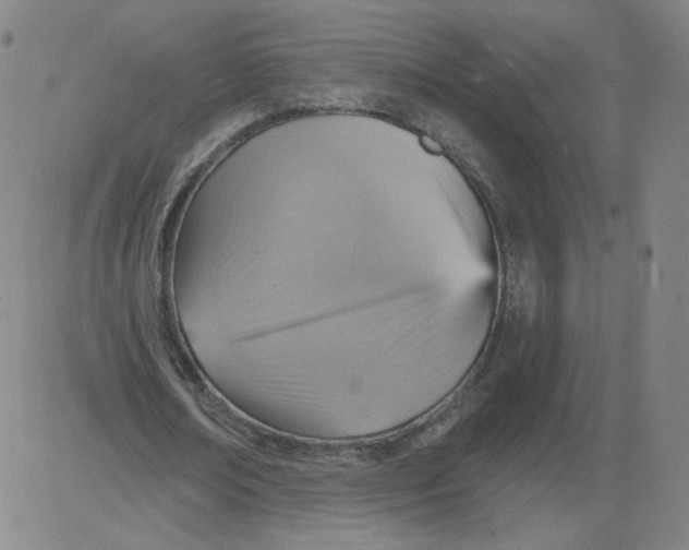 X0000081480674200702021858