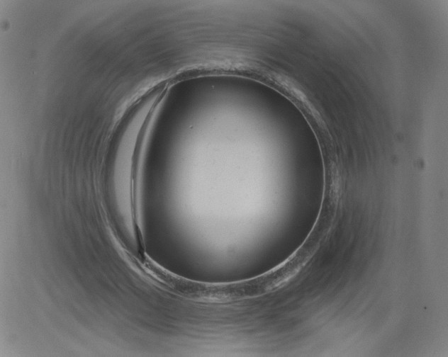 X0000081480677200702021858