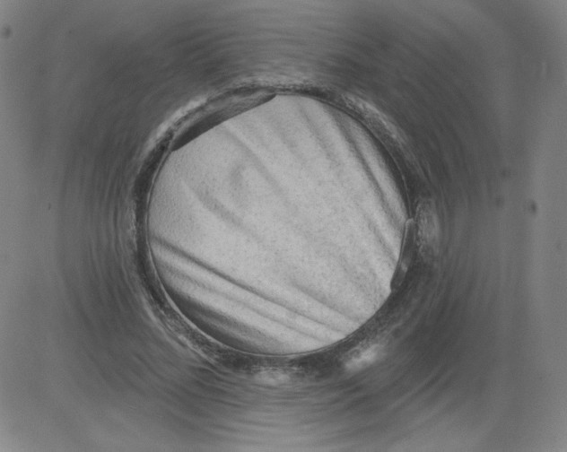 X0000081480684200702021858