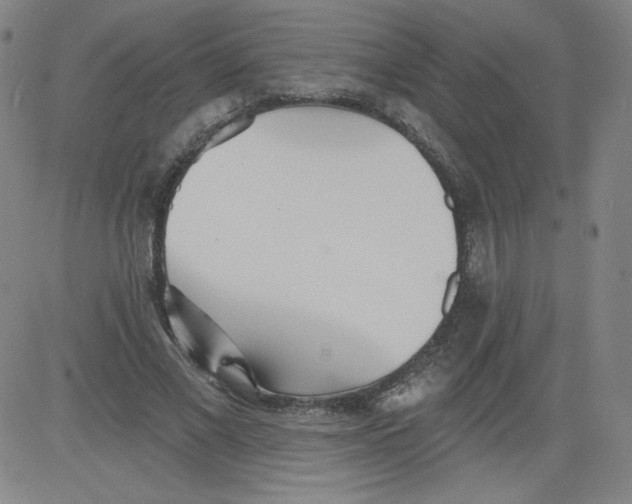 X0000081480685200702021858