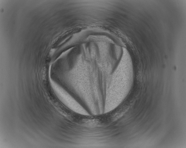 X0000081480689200702021858