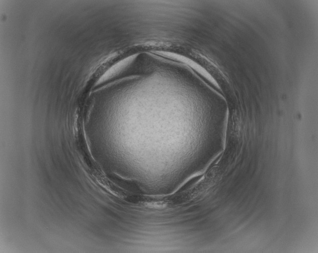 X0000081480692200702021858