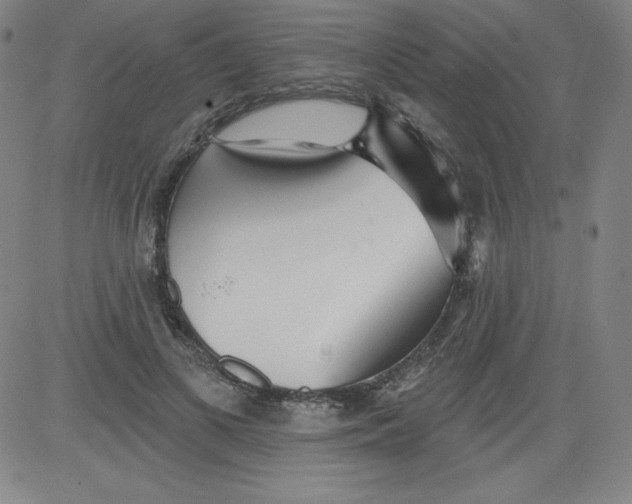 X0000081480693200702021858