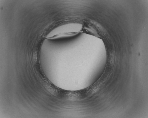 X0000081480697200702021858