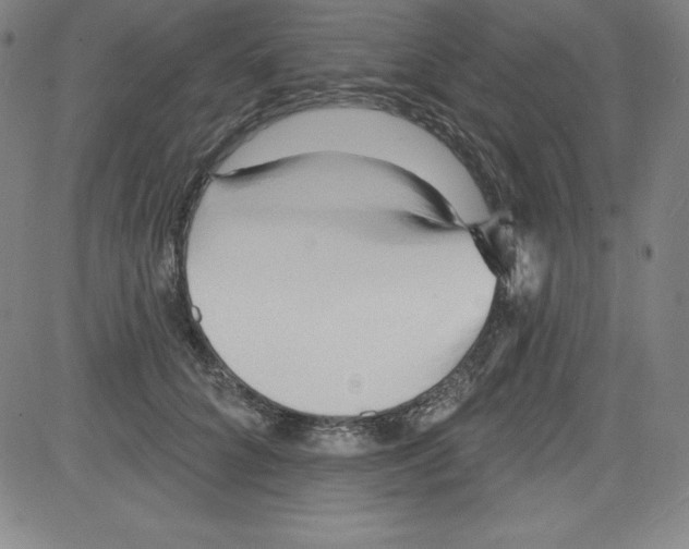 X0000081480704200702021858