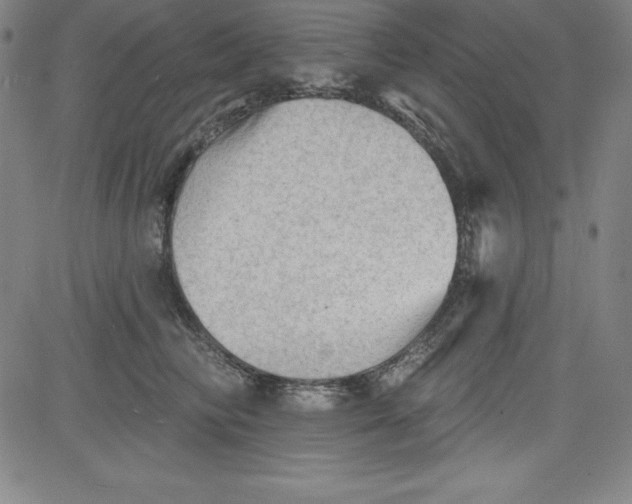 X0000081480710200702021858