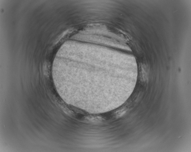 X0000081480712200702021858