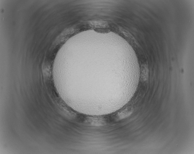 X0000081480713200702021858