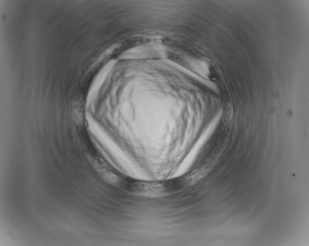 X0000081480719200702021858