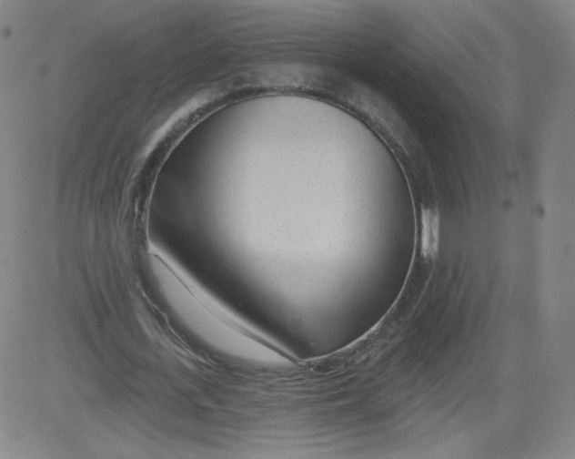 X0000081480723200702021857
