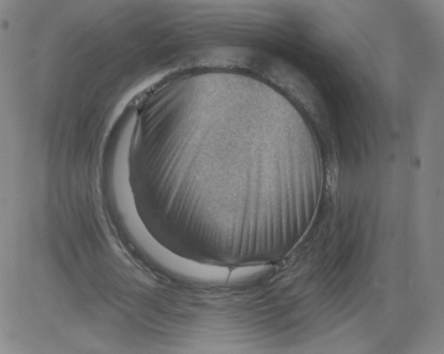 X0000081480724200702021857
