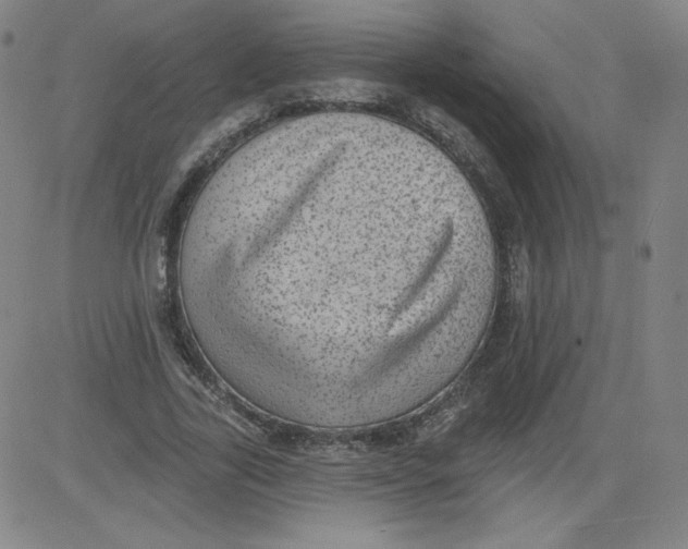 X0000081480731200702021857