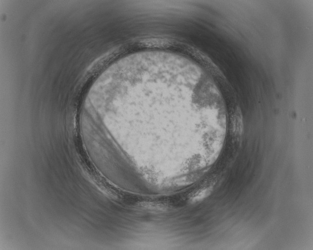 X0000081480733200702021857