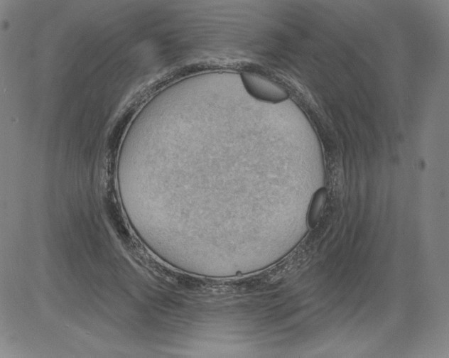 X0000081480736200702021857