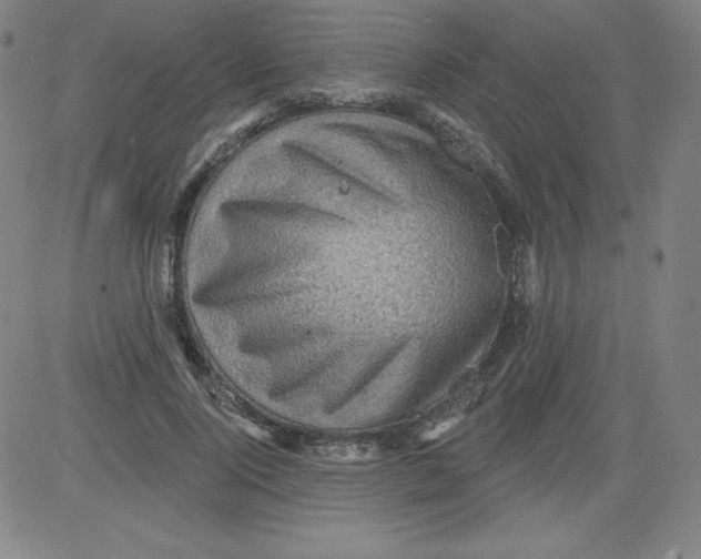 X0000081480740200702021857