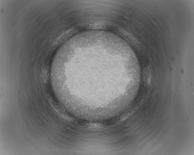 X0000081480741200702021857