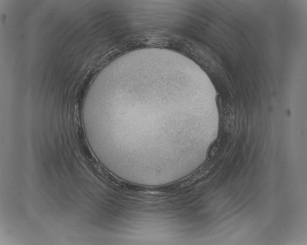 X0000081480748200702021857