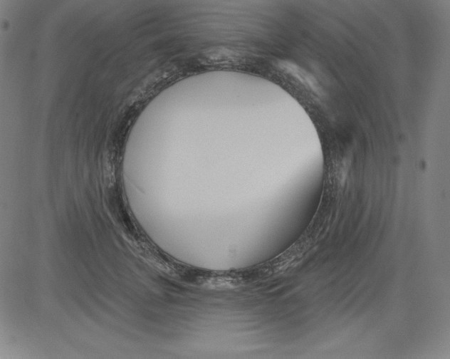 X0000081480751200702021857