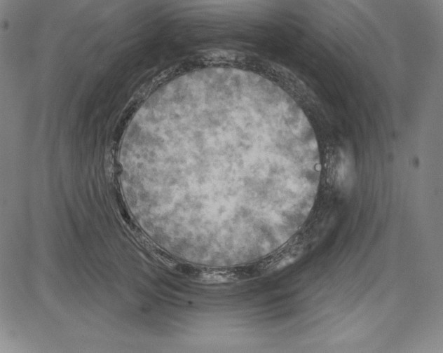 X0000081480753200702021857