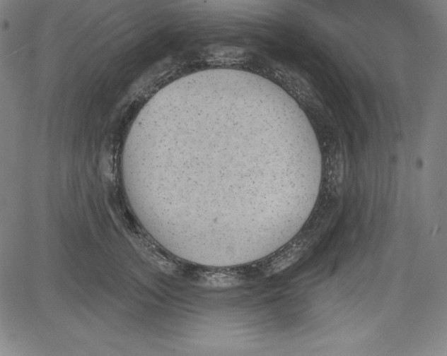 X0000081480755200702021857