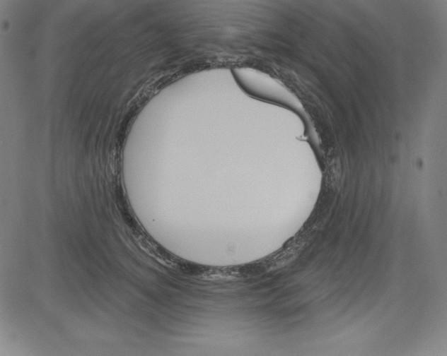 X0000081480756200702021857