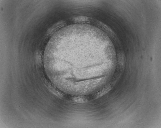 X0000081480761200702021857