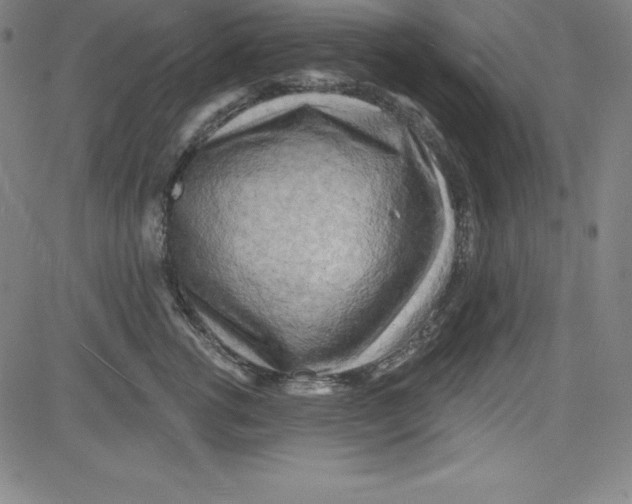 X0000081480762200702021857