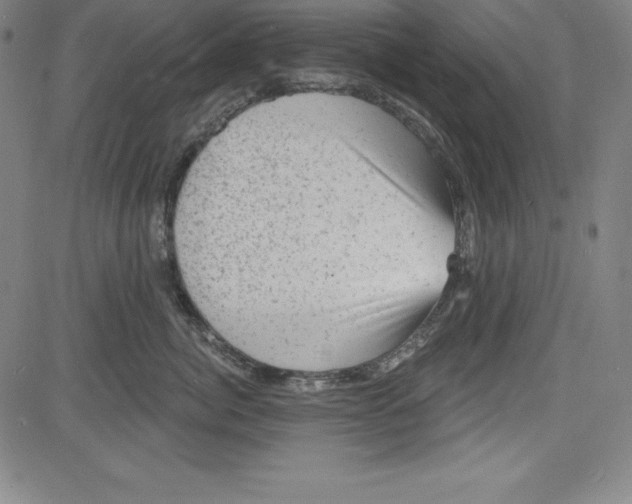 X0000081480764200702021857