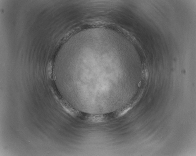 X0000081480767200702021858