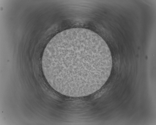 X0000081480769200702021857