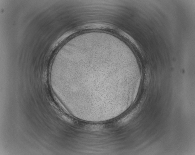 X0000081480778200702021857