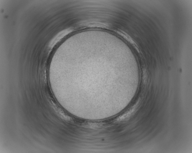 X0000081480782200702021857