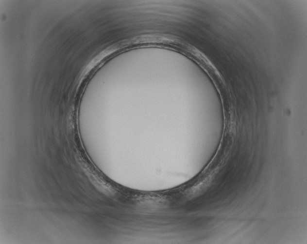X0000081480786200702021856
