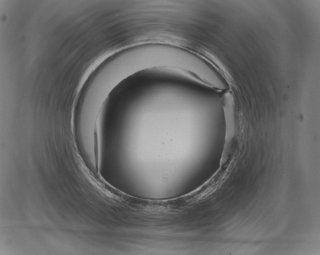 X0000081480788200702021856