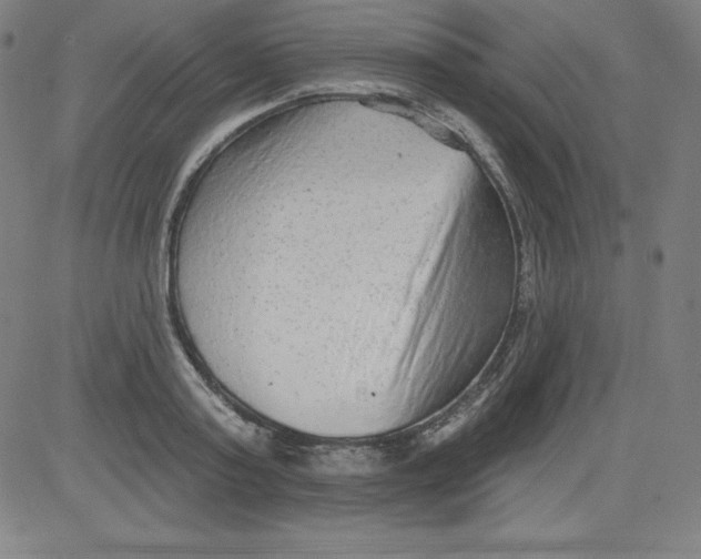 X0000081480795200702021856