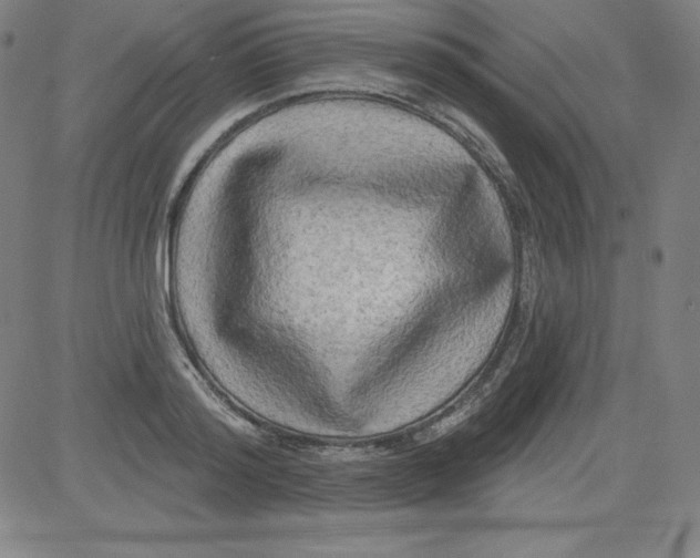 X0000081480796200702021856