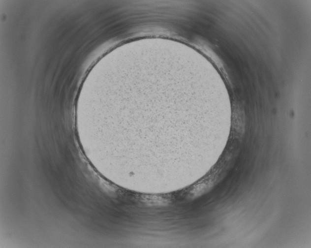 X0000081480807200702021856