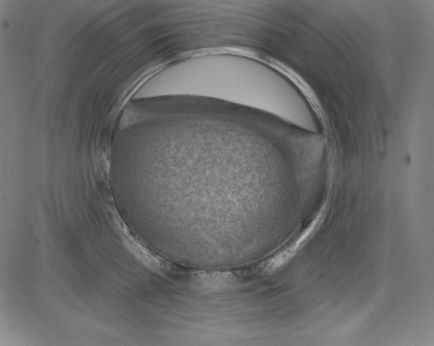 X0000081480809200702021856