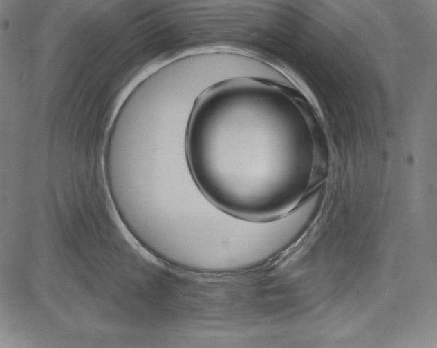 X0000081480813200702021856