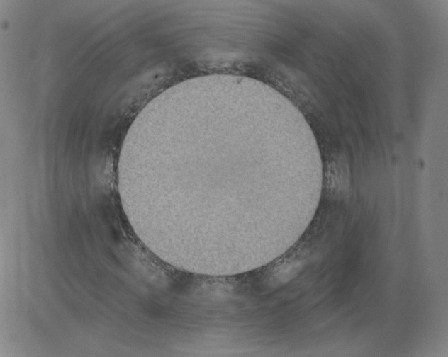 X0000081480820200702021855