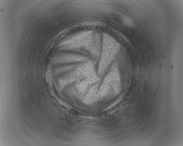 X0000081480821200702021855