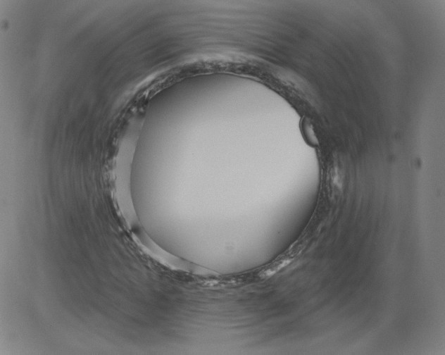 X0000081480822200702021855