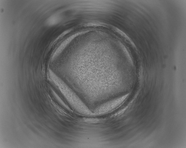 X0000081480825200702021855