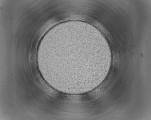 X0000081480836200702021856
