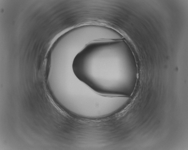X0000081480838200702021856
