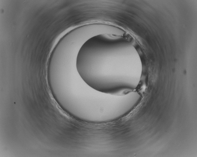 X0000081480854200702021856